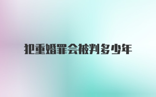 犯重婚罪会被判多少年