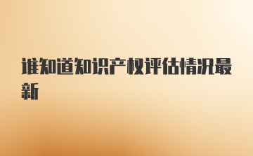 谁知道知识产权评估情况最新