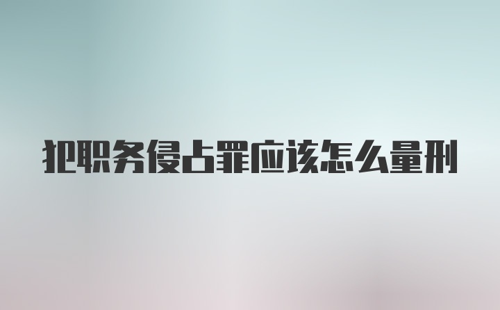 犯职务侵占罪应该怎么量刑