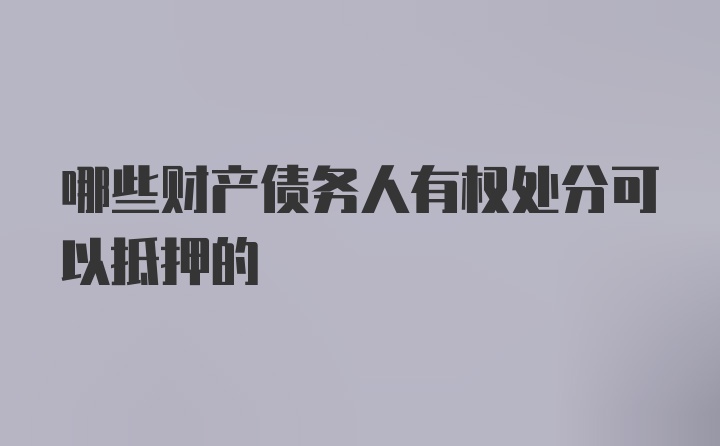 哪些财产债务人有权处分可以抵押的