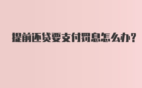 提前还贷要支付罚息怎么办？