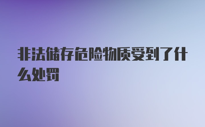 非法储存危险物质受到了什么处罚