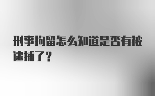 刑事拘留怎么知道是否有被逮捕了？