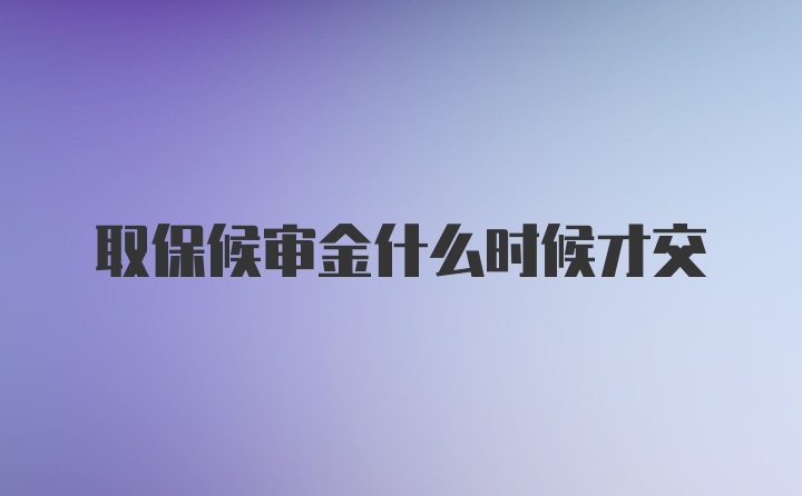 取保候审金什么时候才交