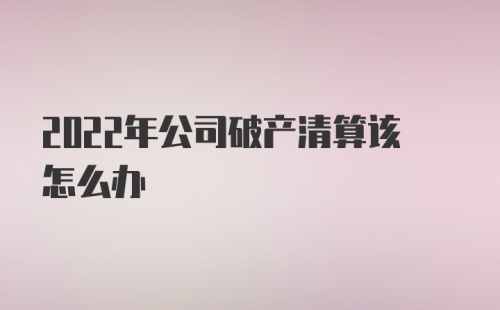 2022年公司破产清算该怎么办