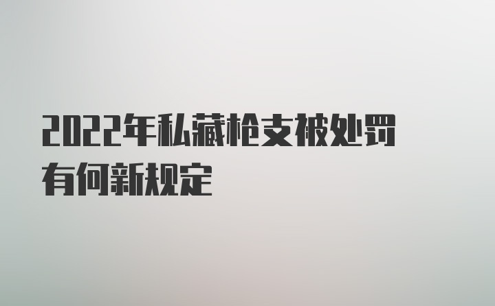 2022年私藏枪支被处罚有何新规定