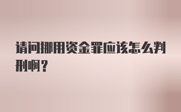 请问挪用资金罪应该怎么判刑啊？