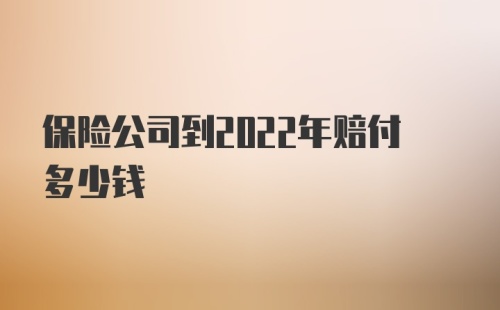 保险公司到2022年赔付多少钱