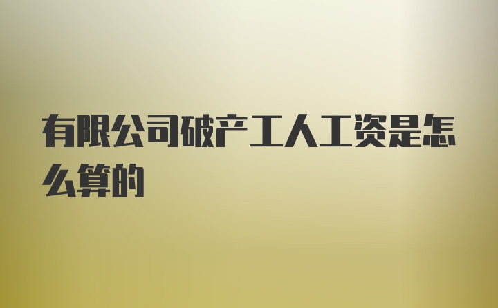 有限公司破产工人工资是怎么算的