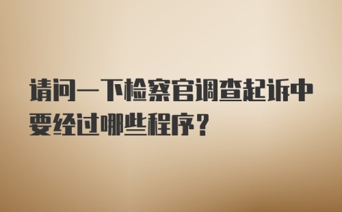 请问一下检察官调查起诉中要经过哪些程序？