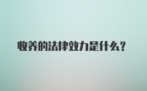 收养的法律效力是什么？