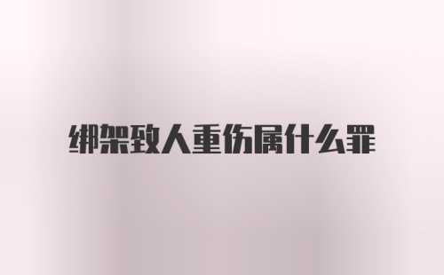 绑架致人重伤属什么罪