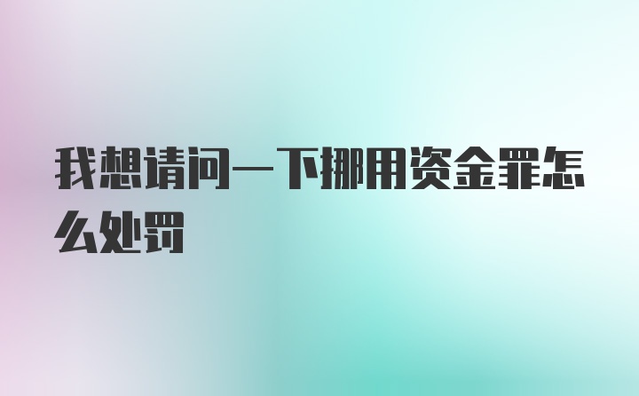 我想请问一下挪用资金罪怎么处罚