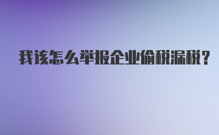 我该怎么举报企业偷税漏税？