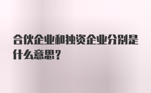 合伙企业和独资企业分别是什么意思？