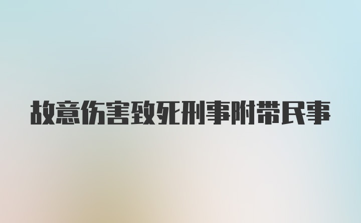 故意伤害致死刑事附带民事