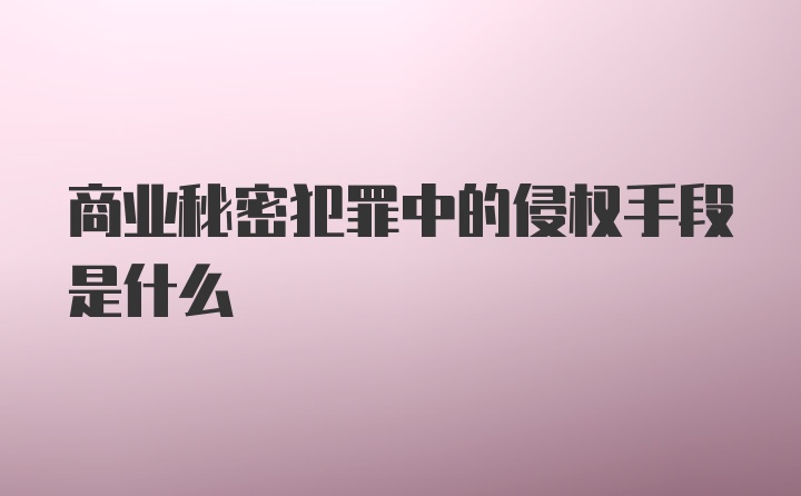 商业秘密犯罪中的侵权手段是什么