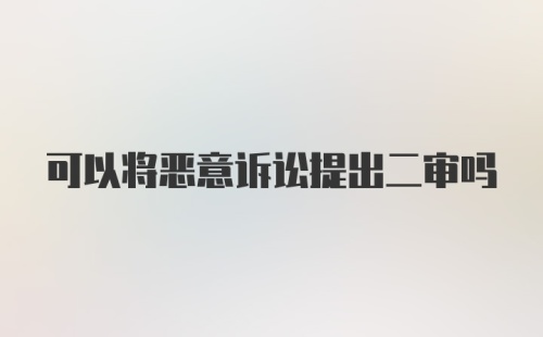 可以将恶意诉讼提出二审吗