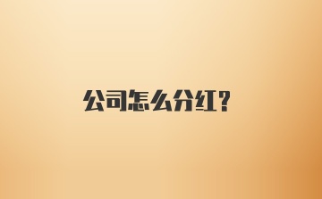 公司怎么分红？