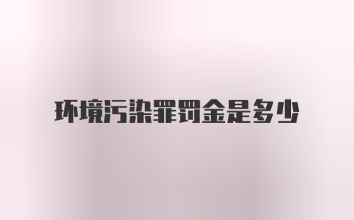 环境污染罪罚金是多少