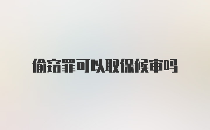 偷窃罪可以取保候审吗