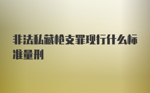 非法私藏枪支罪现行什么标准量刑