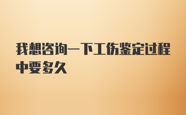 我想咨询一下工伤鉴定过程中要多久