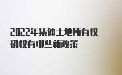 2022年集体土地所有权确权有哪些新政策