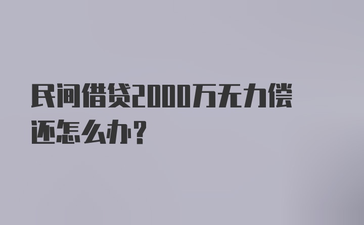 民间借贷2000万无力偿还怎么办？