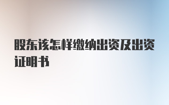 股东该怎样缴纳出资及出资证明书