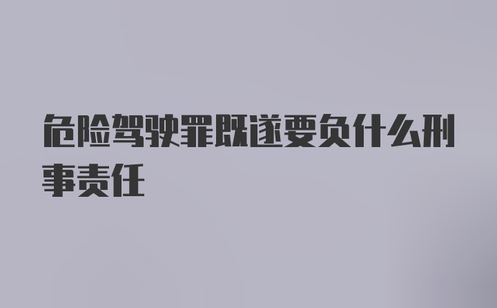 危险驾驶罪既遂要负什么刑事责任