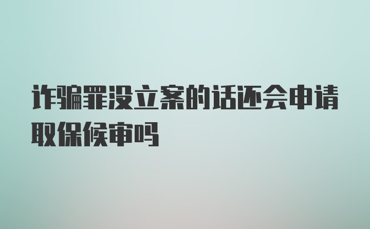 诈骗罪没立案的话还会申请取保候审吗