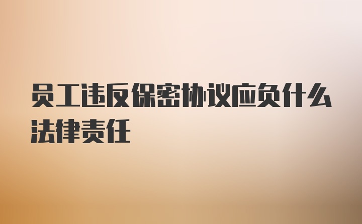 员工违反保密协议应负什么法律责任