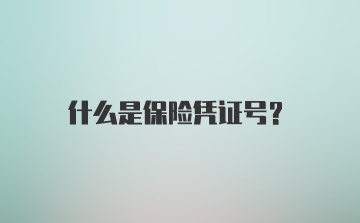 什么是保险凭证号?