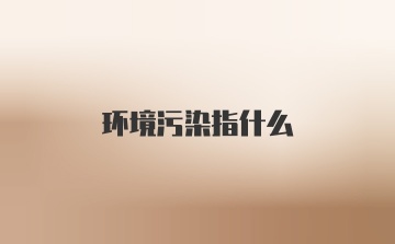 环境污染指什么