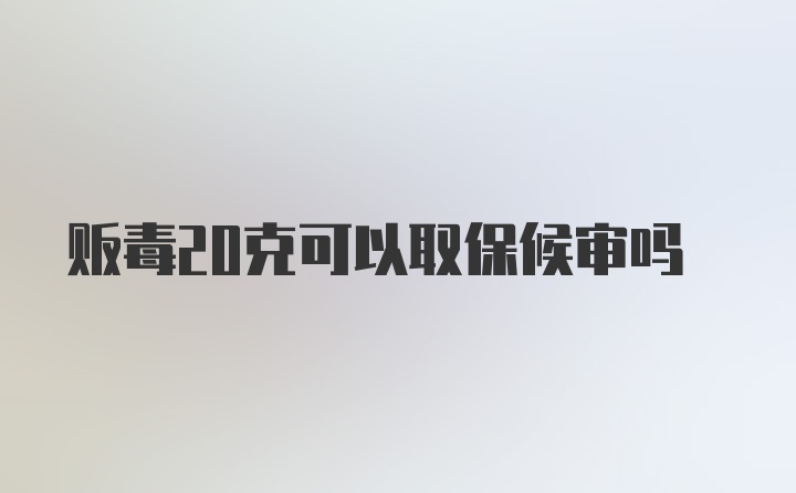 贩毒20克可以取保候审吗