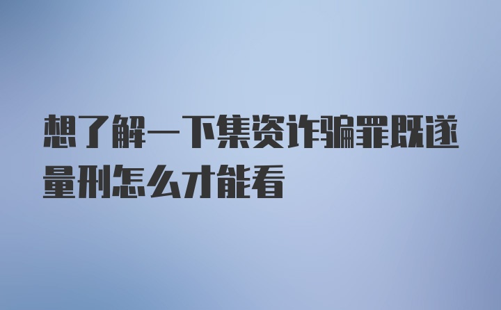 想了解一下集资诈骗罪既遂量刑怎么才能看