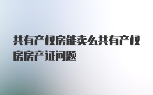 共有产权房能卖么共有产权房房产证问题