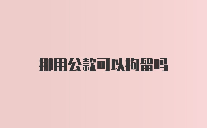 挪用公款可以拘留吗