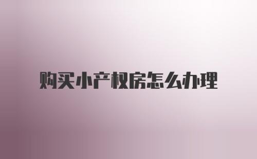 购买小产权房怎么办理