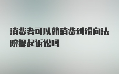 消费者可以就消费纠纷向法院提起诉讼吗