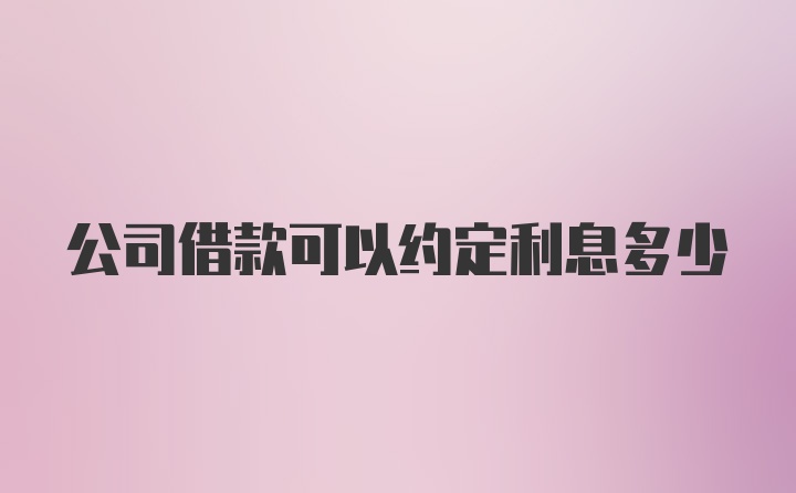 公司借款可以约定利息多少