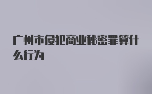 广州市侵犯商业秘密罪算什么行为