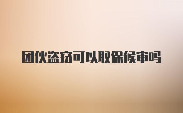 团伙盗窃可以取保候审吗