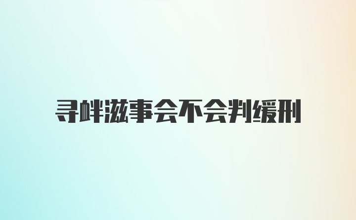 寻衅滋事会不会判缓刑