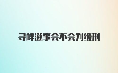 寻衅滋事会不会判缓刑