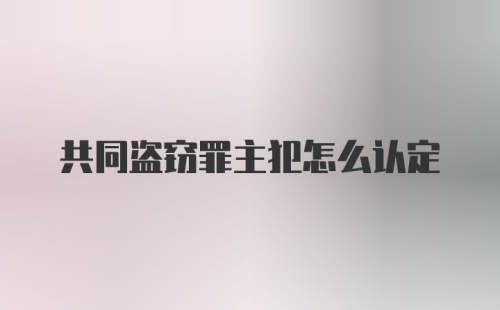 共同盗窃罪主犯怎么认定