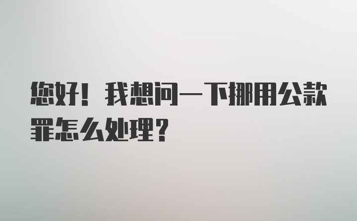 您好！我想问一下挪用公款罪怎么处理？