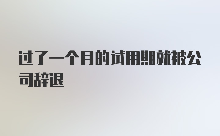 过了一个月的试用期就被公司辞退