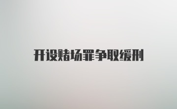 开设赌场罪争取缓刑